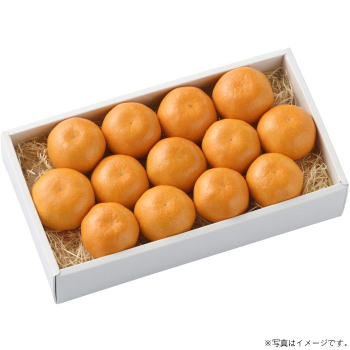 Rakuten - ハウスみかん［1.1kg］（fw-hm1.1kg）【産地直送】≪お届け期間：6月下旬〜8月上旬≫【お届け日の指定はできません】