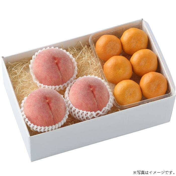 桃とハウスみかん（fw-mmhm36）【産地直送】≪お届け期間:7月中旬～8月上旬≫【お届け日の指定はできません】