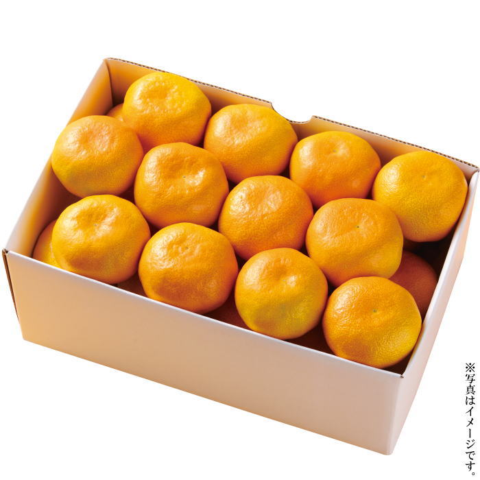 愛媛みかん 3kg（fw-em3kg）≪お届け期間:11月下旬～12月中旬≫【お届け日指定不可】【産地直送】