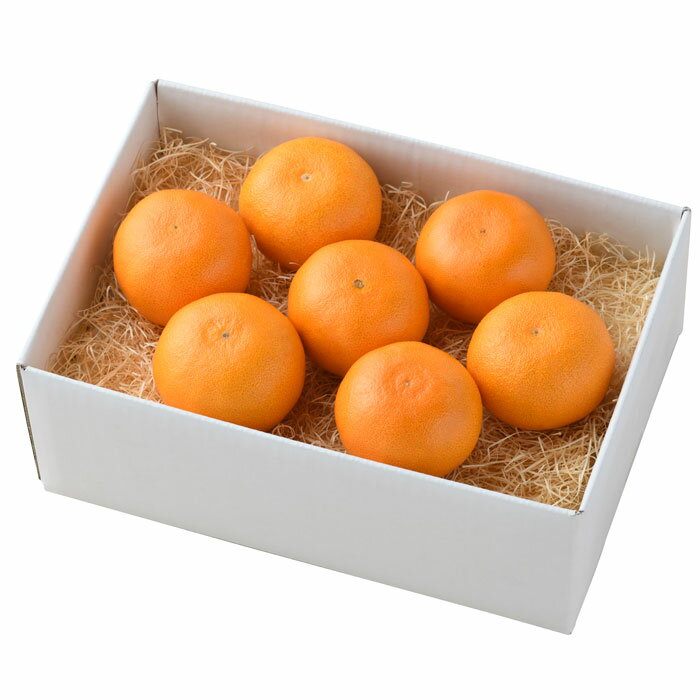 愛媛県産 せとか［1.8kg］【お届け期間：3月上旬～3月中旬】（fw-stk1.8kg）【メーカー直送】