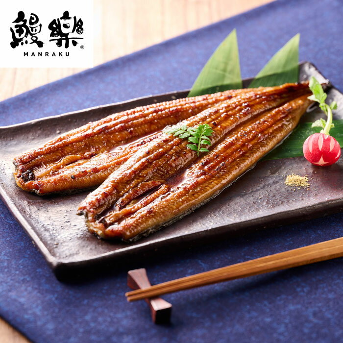 Rakuten - 鰻楽九州産うなぎ蒲焼2尾セット（aQMN2/280）【メーカー直送】≪出荷期間:8/8まで≫