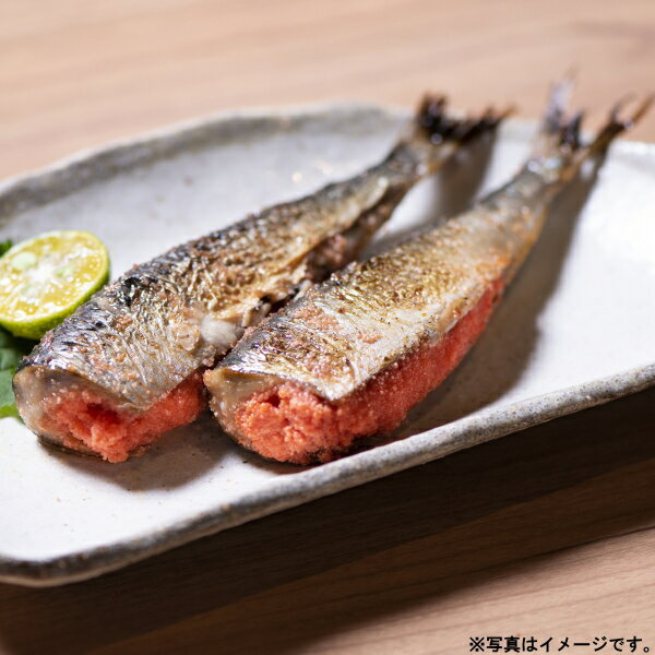 ޤ̳ƻ路25-5025 19ˡڻľ