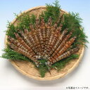 【メーカー直送:冷凍】海老の宮川 活〆冷凍車海老300g(15尾前後)
