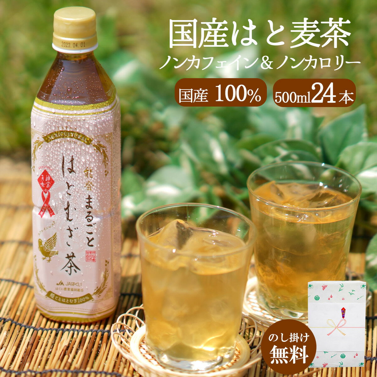 お茶 ギフト はと麦茶 ペットボトル 500ml 24本 JAはくい 能登産 ハトムギ 国産はとむぎ 100％使用 麦茶 健康茶 のし対応