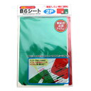 【セット売り】10個セット 暗記シリーズ B6シート2P 赤下敷き・緑下敷きB6サイズ2枚 parl001-CR-3337 AR【t5】