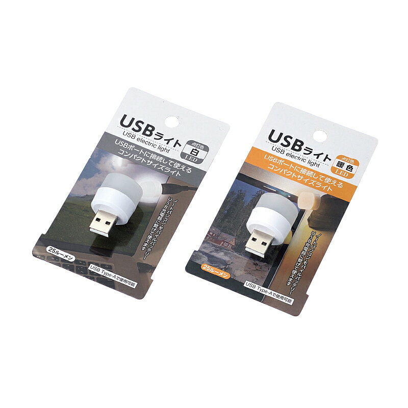 【セット売り】10個セット USBライト　echo1047-180AR【t5】