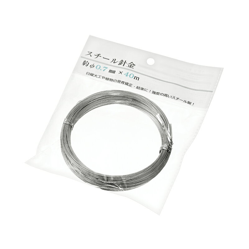 【セット売り】12個セット スチール針金 約Φ0.7mm×40m　echo1506-787AK【t5】