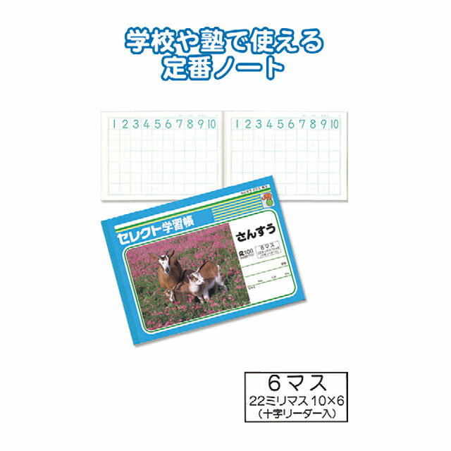 Rakuten - 【セット売り】10個セット 学習帳K-1さんすう6マス　seiwa31-371AR【t5】