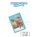 【セット売り】10個セット 学習帳K-16国語 縦罫17行　seiwa31-365AR【t5】