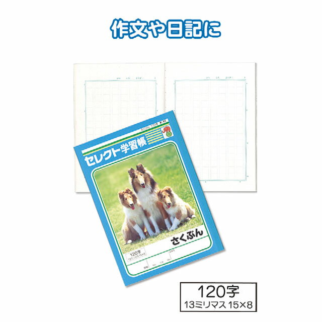 ڥå10ĥå ؽĢK-41֤120seiwa31-379ARt5