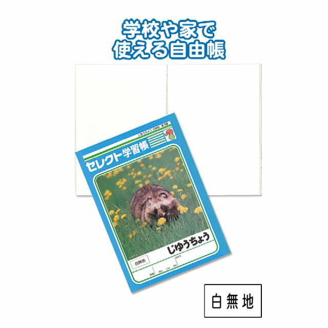 �ڥ��å�����10�ĥ��å� �ؽ�ĢK-55���椦���礦��̵�ϡ�seiwa31-383AR��t5��