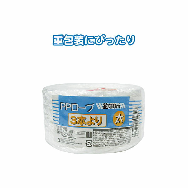 �ڥ��å�����12�ĥ��å� PP�����ס�3�ܤ�ꡦ����30m seiwa40-931AK��t5��