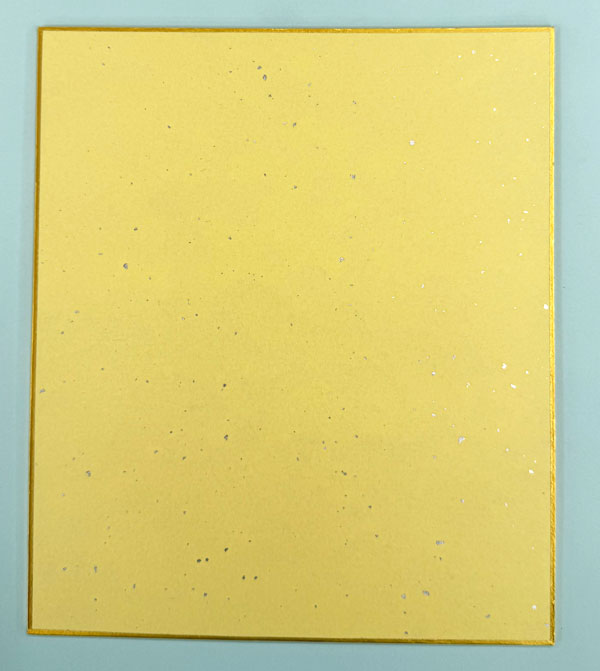 ��ɲ������Թ�»� ������ ���� ���� ��212��180��2mm kurokawa�ڥ᡼�����б� ��ĸ���5��ޤǡۡ�t5��