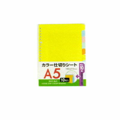 【セット売り】10個セット A5ルーズリーフカラー見出し10山 ルーズリーフ用カラー見出し sunnote2073AR【t5】