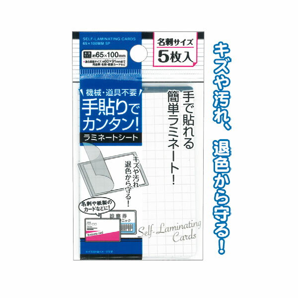 �ڥ��å�����12�ĥ��åȡ���ñ�����ߥ͡���̾�ɥ�����5����65��100mm����ߥ͡��ȥ����ȵ�������Ž�������seiwa32-952AK��t5��