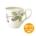 ノリタケ【オーチャードガーデン】マグ マグカップ noritake ORCHARD GARDEN 4911L/T97855【pointn】