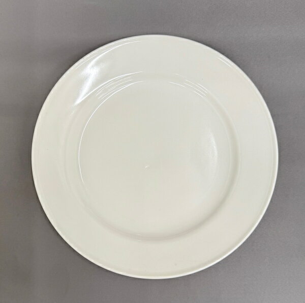 ���������ۥ磻��10���� �ץ졼�ȡ�z�ۡ�t5��