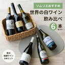 【送料無料】 ソムリエ厳選 贅沢・世界の銘醸白ワイン 飲み比べ6本セット 【750ml×6本】 飲み比べ フランスワイン 日本ワイン ハンガリー シャルドネ 金...