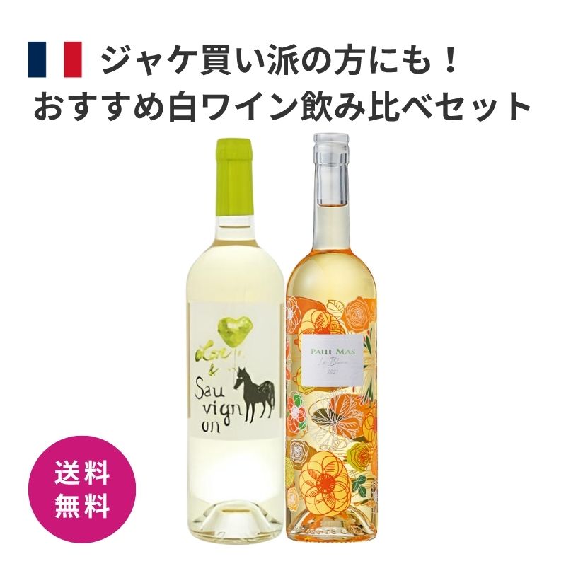 特別価格 送料無料 ワイン 白ワイン セット 辛口 人気 2本セット 750ml