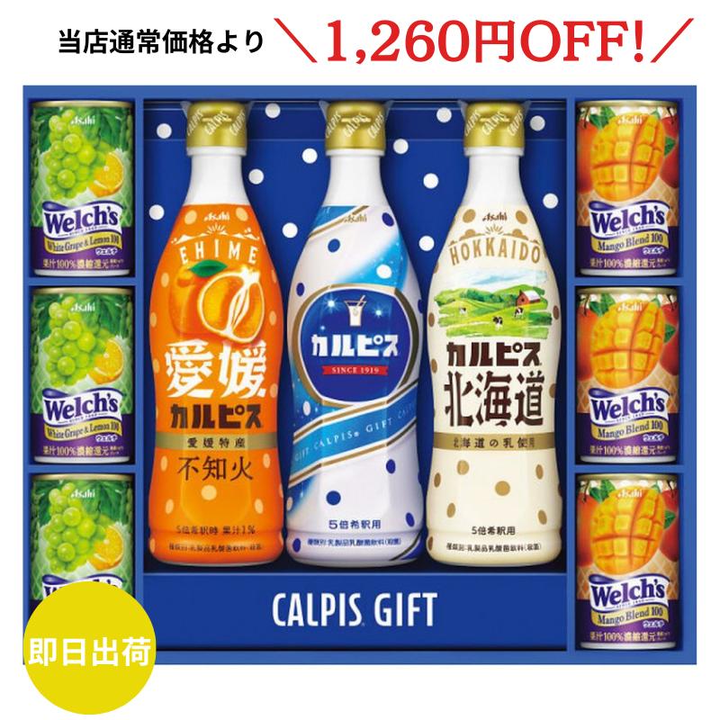 〈期間限定50%OFF〉 【送料無料】 カルピス・ウェルチギフトセット カルピス 原液 ウェルチ ギフト 即日発送 ギフトセット ジュースセット 人気 ラッピング メッセージカード ギフト 贈り物 お返し 内祝い 敬老の日 誕生日 ギフタ 食品 セールのサムネイル