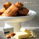 【送料無料 お試し 1000円ぽっきり 即日出荷】発酵バターのフィナンシェ3個入 ギフト 焼き菓子 フィナンシェ 発酵バター お菓子 スイーツ プレゼント おし...