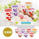 北海道150年ファーム 北海道フルーツアイスバラエティ AH-IB- ME スイーツ 洋菓子 お中元 北海道 アイス アイスクリーム ギフト 詰合せ 出産内祝 ...
