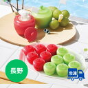 信州りんご玉6個 信州シャインマスカット玉6個 計12個セット(TK-RS12-2) 送料無料 詰合せセット 2種 詰合せ シャーベット 洋菓子 国産 スイーツ...