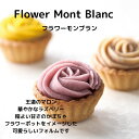 フラワーモンブラン AS137 OCEAN&TERRE /結婚内祝 出産内祝 引き出物 洋菓子 お菓子 スイーツ 焼き菓子 タルト 花 モンブラン 誕生日 ...