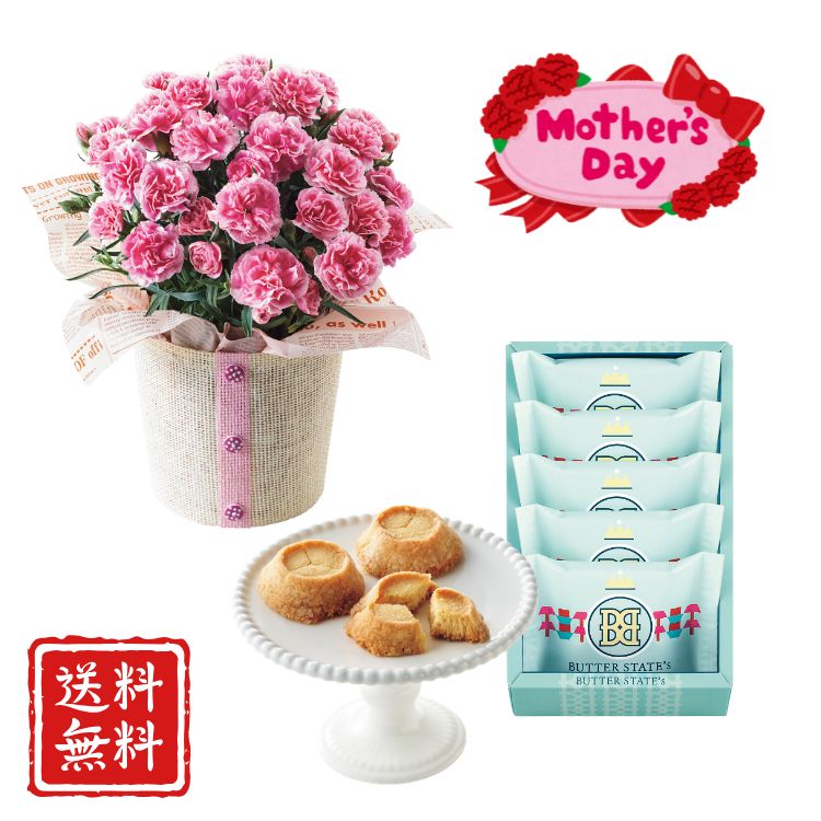 母の日 バターステイツクッキーとカーネーション鉢植ティーパーティ 5号セット 母の日 花 ギフト カーネーション アレンジメント おしゃれ 高見え プレゼント 送料無料 スイーツ