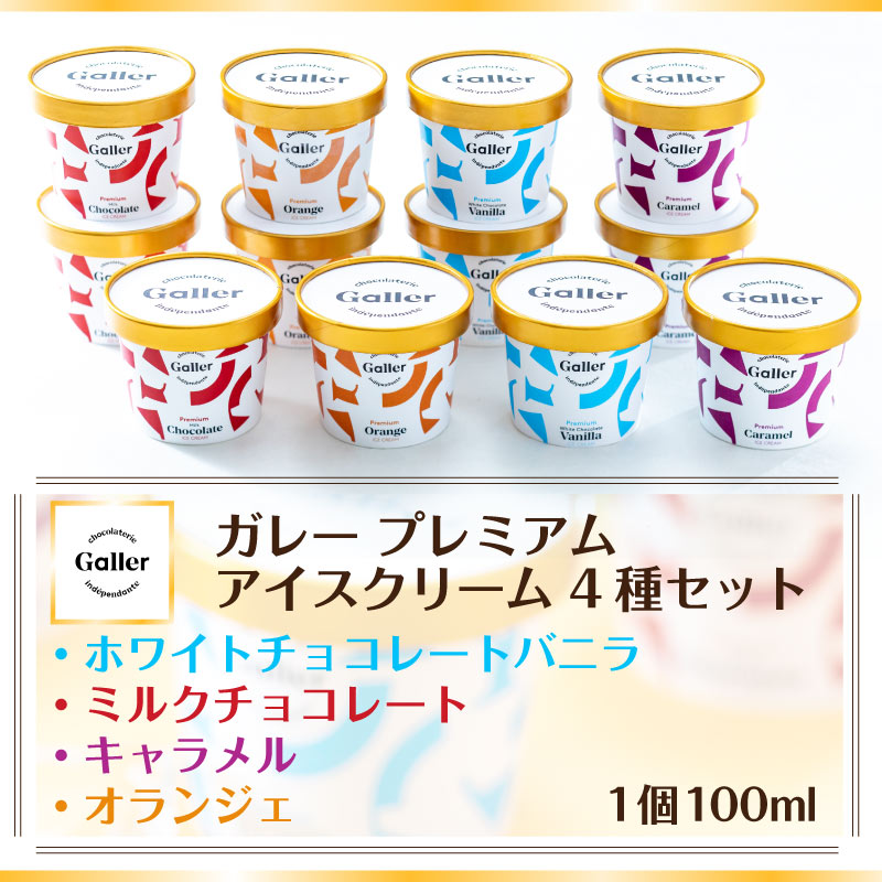 アイスクリーム ガレー galler アイス 詰め合わせ セット 母の日 アイス ギフト 早割 誕生日プレゼント 母親 父親 50代 60代 70代 80代 女性 男性 父の日 プレゼント 花以外 スイーツ 祖母 祖父 内祝い お返し ギフト 結婚 出産 贈り物 チョコ アイスクリームギフト