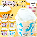 アイス ギフト 12個セット ガレー Galler のし対応 父の日 アイスクリーム スイーツ デザート 食べ物 チョコレート 食品 お中元 誕生日 プレゼント...