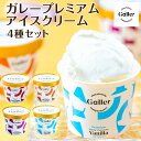 お中元 夏ギフト アイス ガレー アイスクリーム セット 8個 12個 詰め合わせ 夏ギフトアイス お菓子 誕生日プレゼント バニラ チョコ 高級 スイーツ 人...
