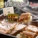 誕生日プレゼント うなぎ かば焼き 3人前セット 国産 食べ物 ギフト お中元 御中元 愛知 有名店 うなぎ割烹 一愼 プレゼント 早割 お取り寄せ グルメ 蒲...