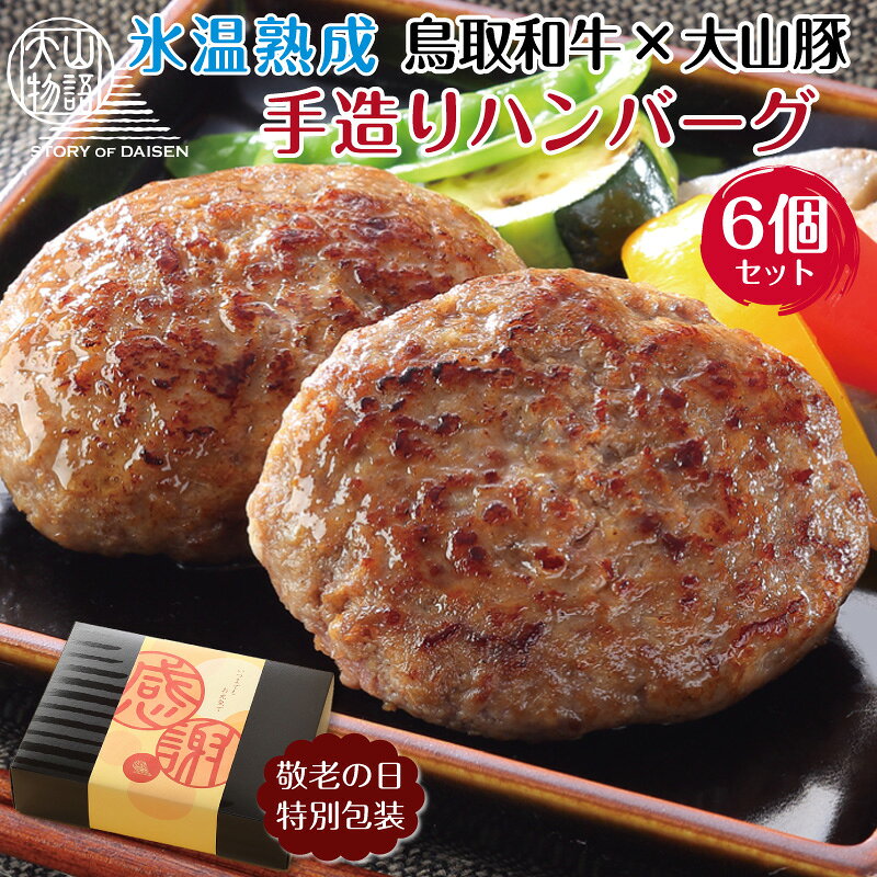 ハンバーグ ギフト 冷凍 鳥取和牛 大山豚 手捏ねハンバーグ 120g 6個セット お取り寄せ 国産 牛 豚 肉 敬老の日 プレゼント 人気 誕生日プレゼント 食べ物 父親 母親 80代 70代 60代 50代 還暦 古希 喜寿 お祝い 内祝い お返し 結婚 出産 祖父 祖母 男性 女性 祖父母 gifthompo-10031214 グルメギフト本舗 楽天市場店 パッケージ画像