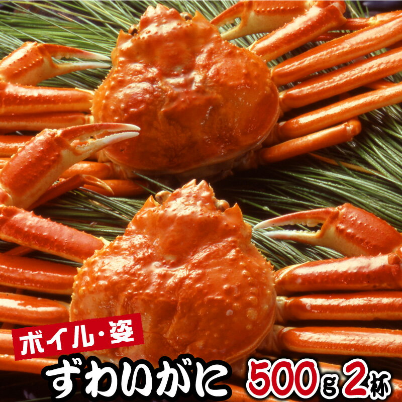 父の日 カニ 海鮮 食べ物 お中元 魚介類 ギフト ボイル ずわいがに 姿 500g 2杯 かに 蟹 誕生日 出産 ..