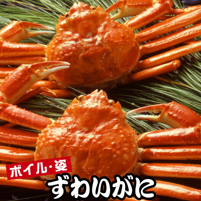 【 クーポン配布中 】 お歳暮 冬ギフト カニ 海鮮 ズワイガニ ボイル 姿 2尾 3尾 ズワイ蟹 ずわい蟹姿 蟹みそ カニ味噌 かに鍋 かにしゃぶ 鍋 お歳暮 ギフト 誕生日 プレゼント 食べ物 男性 女性 50代 60代 70代 80代 内祝い 食品 お返し 出産 結婚 父 母 祖父 祖母 贈り物