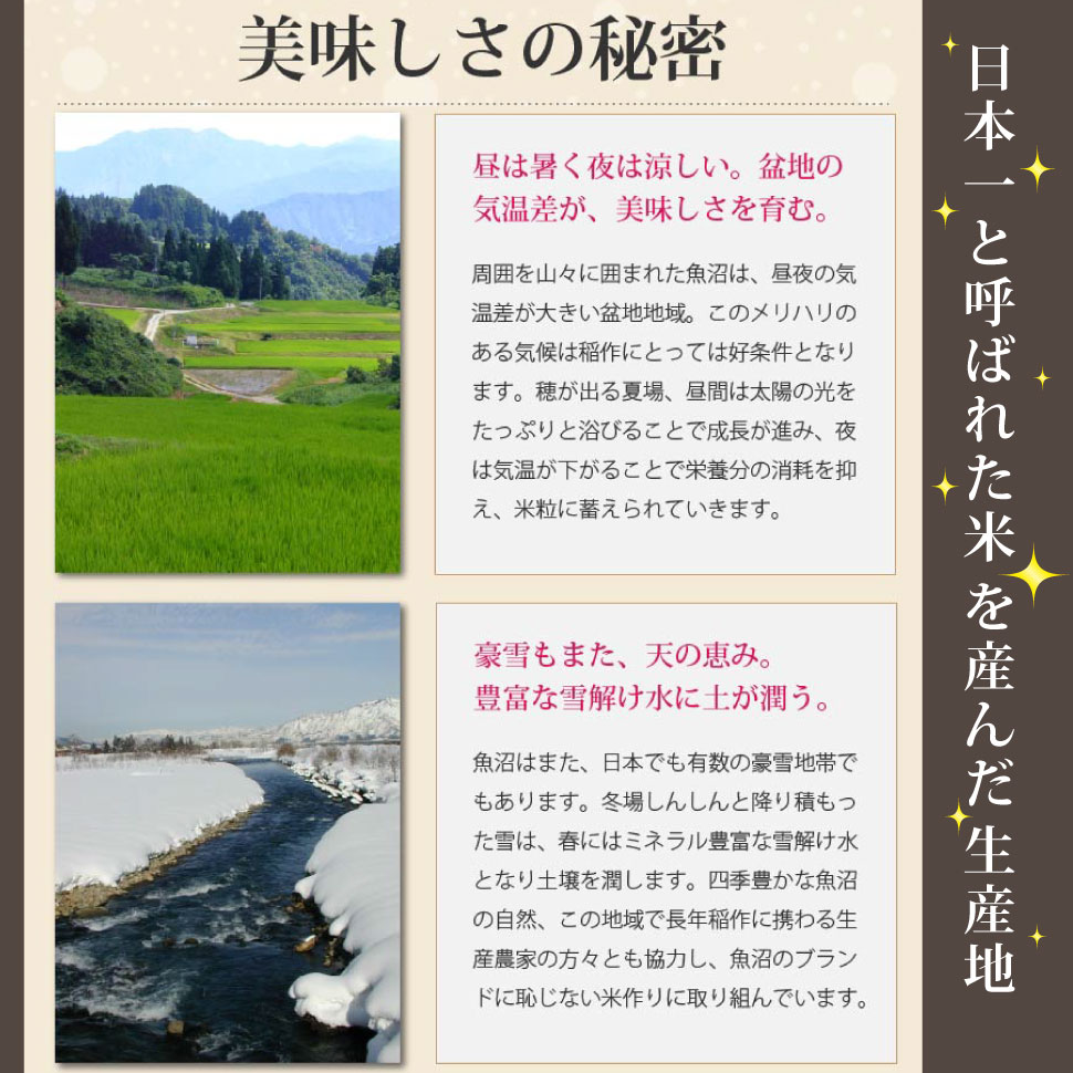 お中元 米 ギフト 魚沼産コシヒカリ 4kg 8kg 小分け 雪温精法 氷温熟成 魚沼産 コ...