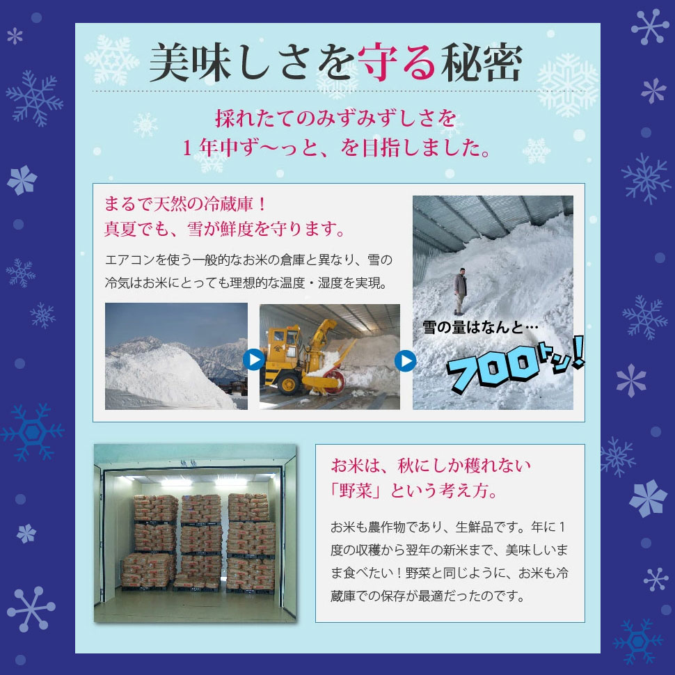 お中元 米 ギフト 魚沼産コシヒカリ 4kg 8kg 小分け 雪温精法 氷温熟成 魚沼産 コ...
