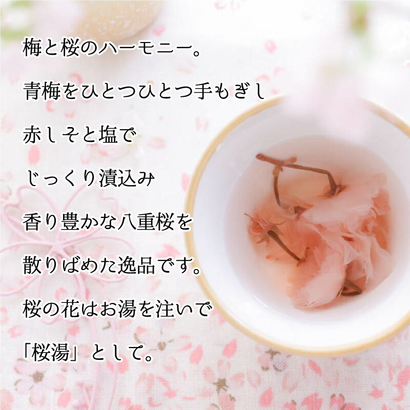 ̵ź���ߴ��� ��� �ߴ��� ���ե� ̵ź�� �� ��⤵�����ߴ��� 500g ���äѤ��ߴ��� ���äѤ� ��ʬ15% �ʾ� �Τʤ�����ߴ��� ������ �ץ쥼��� ����ʪ �� �� 50�� 60�� 70�� 80�� ��ˤ� ���֤� ���� ���� ���ˤ� ���� �Ŵ� ��� ���� ǯ�� ����� �����餷