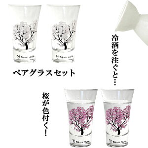 冷たいものを注ぐと桜が色付く 冷感 ペアグラスセット 天開 桜温度で変化する酒器 丸モ高木陶器 正規品 ショットグラス ビアタンブラー お洒落 プレゼント 贈り物 不思議な マジック 日本酒 ギフト お祝い 送料無料