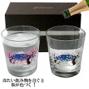 冷たいものを注ぐと桜が色付く 冷感 ロックグラス 富士山さくら ペアセット2個セット 桜 温度で変化するグラス タンブラー グラス ビールグラス 酒 オンザロッ...