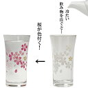 冷たいものを注ぐと桜が色付く 冷感 天開 グラス 桜の花温度で変化する酒器 桜 ショットグラス ビアタンブラー 冷酒用グラス お洒落 プレゼント 贈り物 不思議な マジック 日本酒 冷酒 ギフト 父の日 母の日 敬老の日 お祝い 縁起物 送料無料