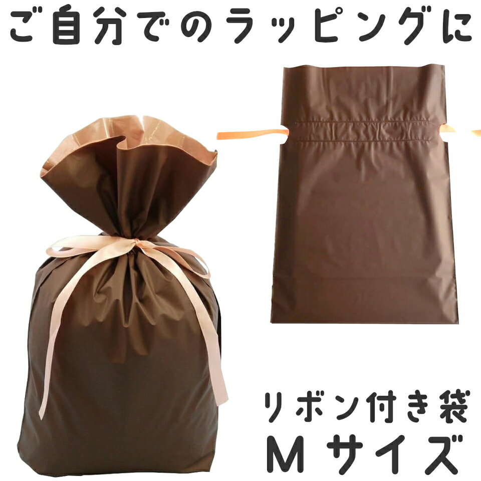 ＜同梱専用＞ リボン付きラッピング袋 Mサイズ (幅240×高360×マチ120) ＜単品購入不可＞ プチギフト 母の日 父の日ギフト プレゼント お礼 バレンタイン 手渡し用 小分け袋
