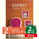 ESPRIT～エスプリ カタログギフト エスプリ カントリー 2つ選べる ダブルチョイスお世話になりました グルメカタログ お中元 夏 ギフト お祝い お返し 親戚 おじさん おばさん 記念品 法事