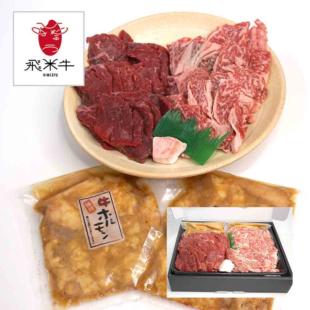 牛肉 セット 詰め合わせ 焼肉セット 1.2kg （霜降り4