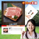 飛騨牛A5 国産牛詰合せ 飛騨牛A5 ジューシー ジャンボ サーロインステーキ 250gX2 目録 景品 二次会 婚礼 忘年会 ビンゴ コンペ