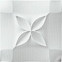 3D絵画 プラデック ウォール アート 「フラッシュ(ホワイト)」 壁掛用、壁掛け金具付き PL-05801周年記念品 プレゼント 退職記念 卒業記念 名入れ相談