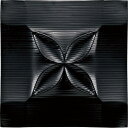 3D絵画 プラデック ウォール アート 「フラッシュ(ブラック)」 壁掛用、壁掛け金具付き PL-05828周年記念品 プレゼント 退職記念 卒業記念 名入れ相談