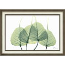 絵画額 X RAY キャンバスアート 「リーフ3(Mサイズ)」 壁掛用 XR-12009周年記念品 プレゼント 退職記念 卒業記念 名入れ相談