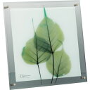 ガラス 絵画 X RAY ガラス アート 「グリーン ユーカリ(Mサイズ)」 壁掛用 XR-05011周年記念品 プレゼント 退職記念 卒業記念 名入れ相談